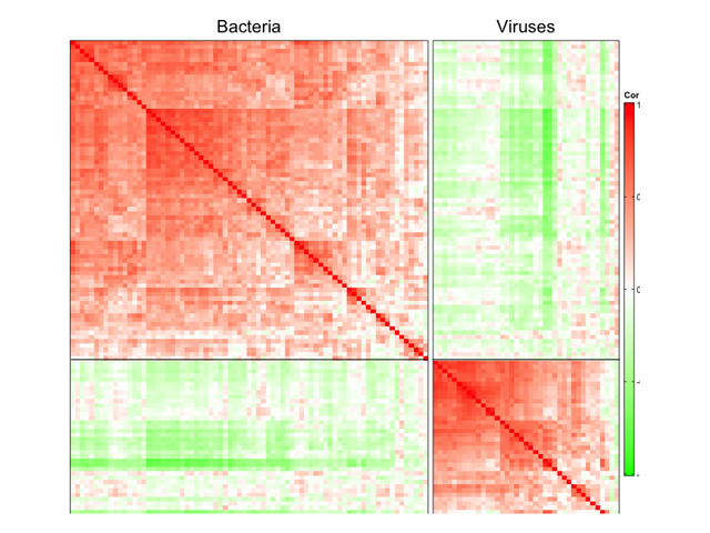 Empirical correlation estimates across bacteria and viruses