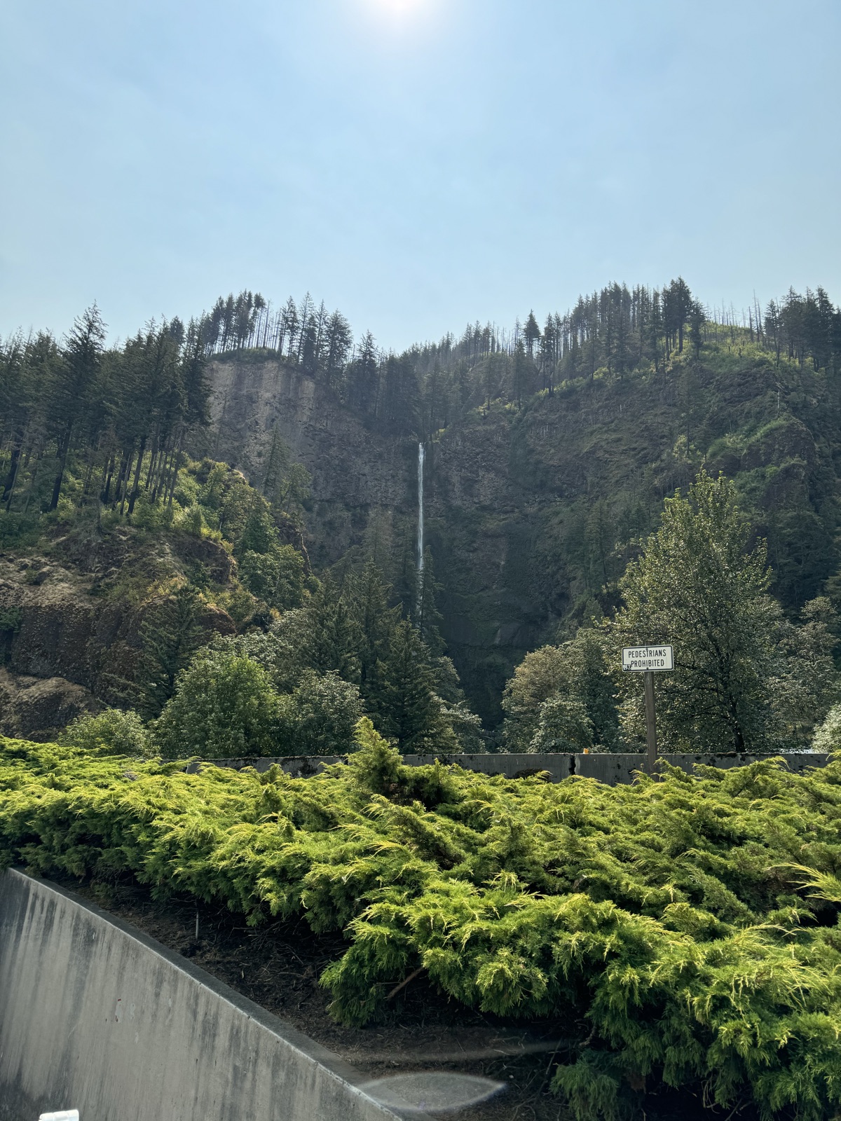 A tall waterfall in a forested gorge